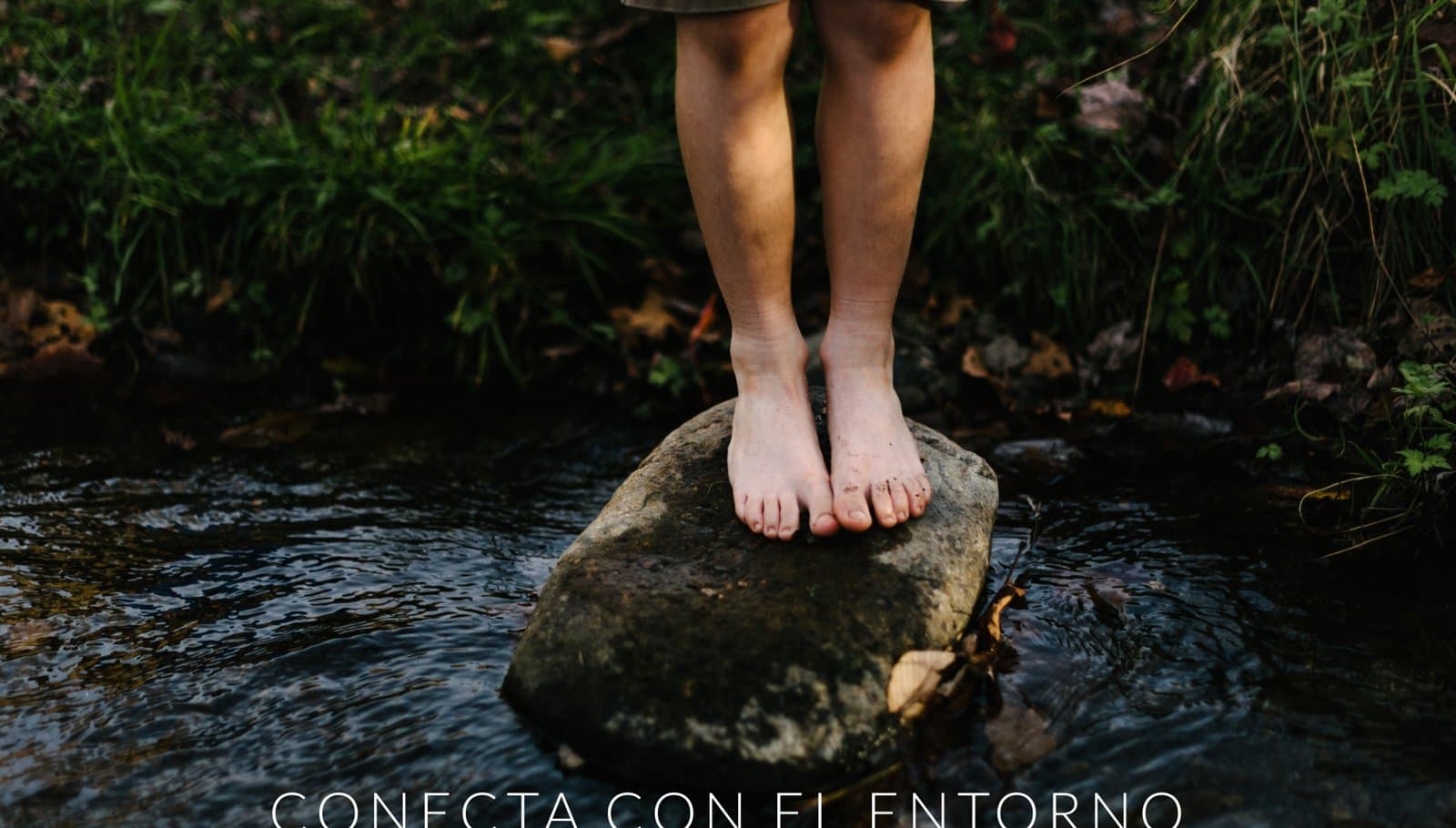 Cantera Real · lago-vista