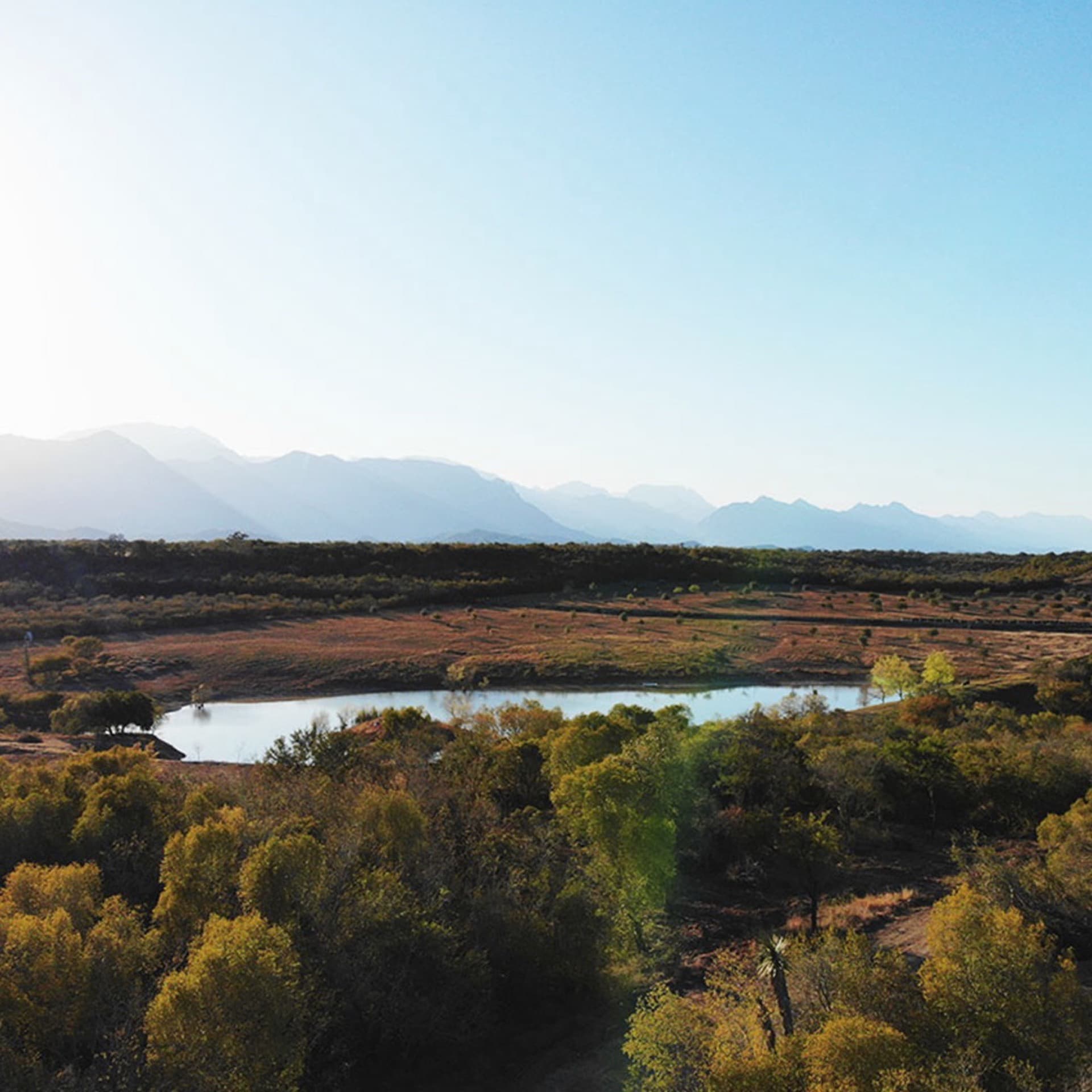 Lago natural · alimenta el ecosistema