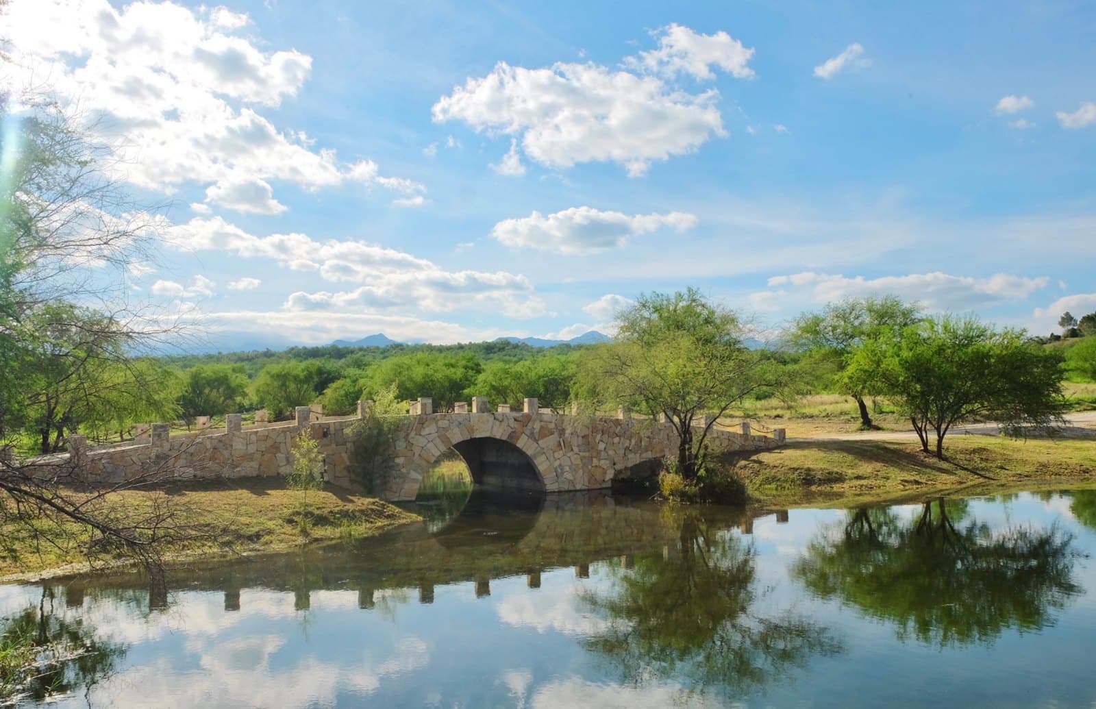 Puente de piedra sobre el lago
