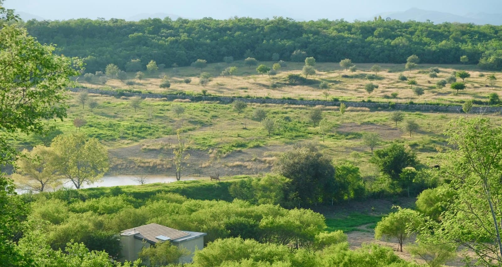 Vista aérea de Cantera Real