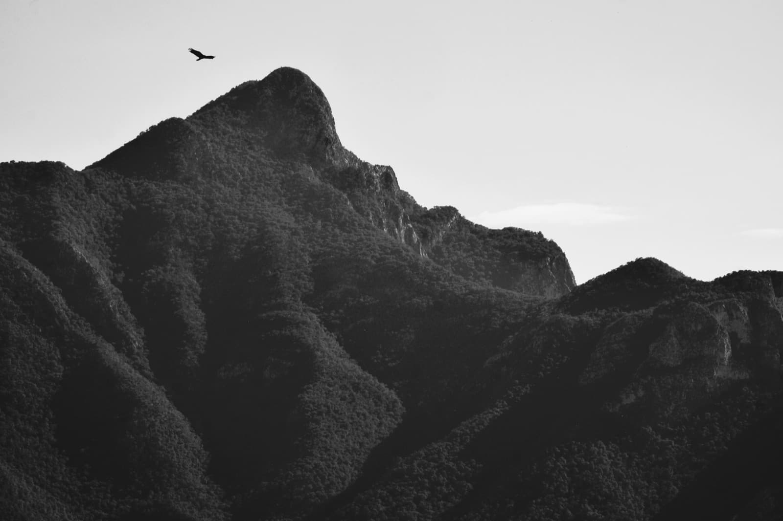 Sierra de Montemorelos desde Las Sendas