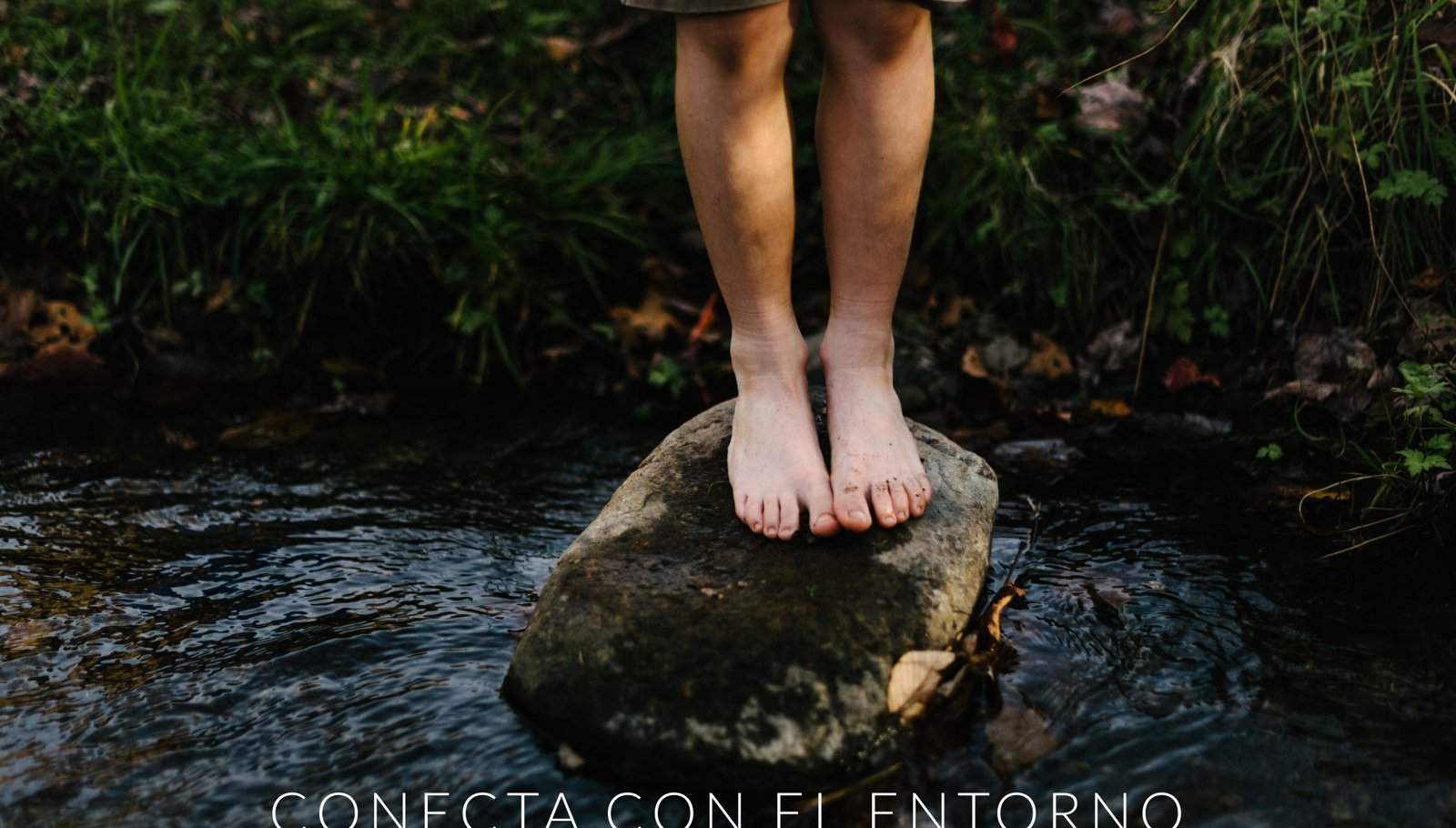 Cantera Real · lago-vista